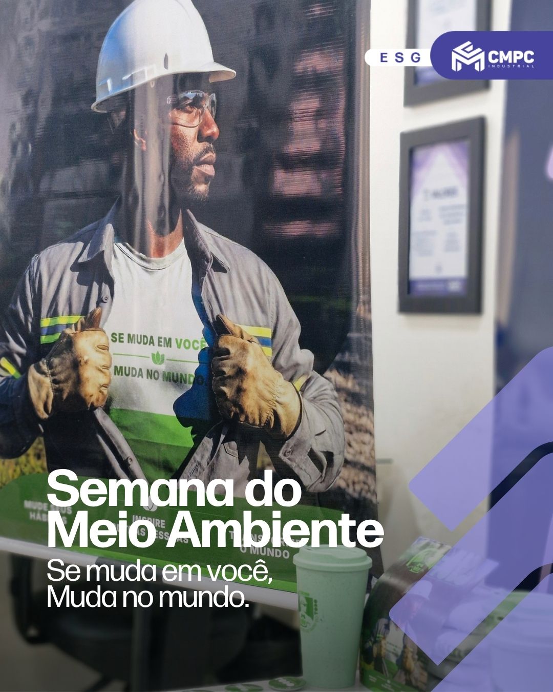 Se muda em você, muda no mundo: CMPC realiza ações durante o mês do meio ambiente